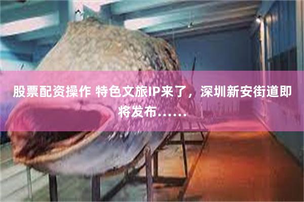 股票配资操作 特色文旅IP来了，深圳新安街道即将发布……