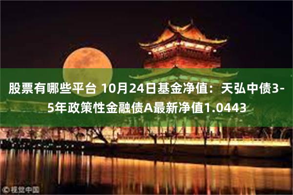 股票有哪些平台 10月24日基金净值：天弘中债3-5年政策性金融债A最新净值1.0443