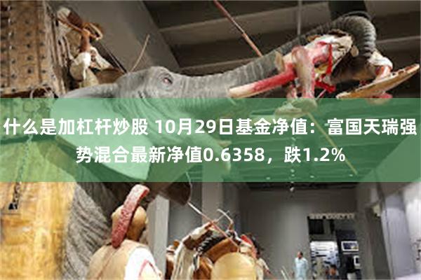 什么是加杠杆炒股 10月29日基金净值：富国天瑞强势混合最新净值0.6358，跌1.2%