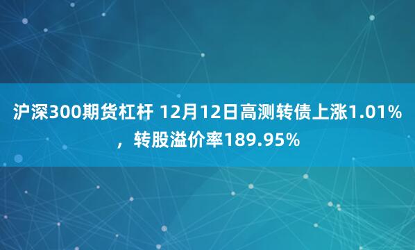 沪深300期货杠杆 12月12日高测转债上涨1.01%，转股溢价率189.95%