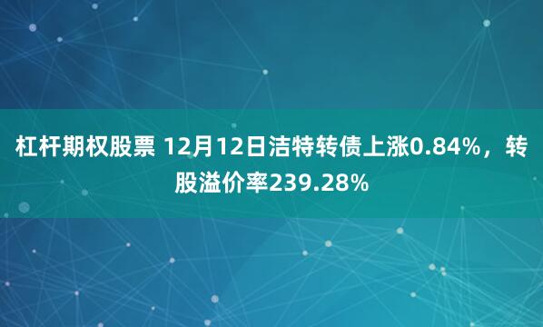 杠杆期权股票 12月12日洁特转债上涨0.84%，转股溢价率239.28%