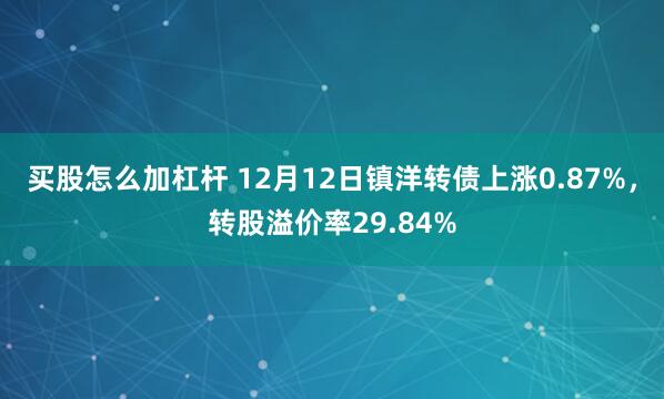 买股怎么加杠杆 12月12日镇洋转债上涨0.87%，转股溢价率29.84%