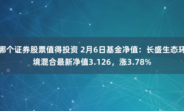 哪个证券股票值得投资 2月6日基金净值：长盛生态环境混合最新净值3.126，涨3.78%