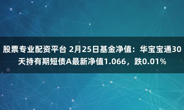 股票专业配资平台 2月25日基金净值：华宝宝通30天持有期短债A最新净值1.066，跌0.01%