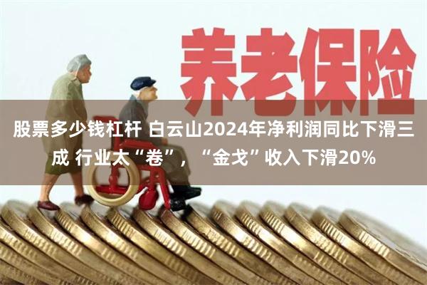 股票多少钱杠杆 白云山2024年净利润同比下滑三成 行业太“卷”，“金戈”收入下滑20%